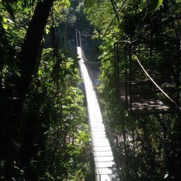 bridge to waterfalls